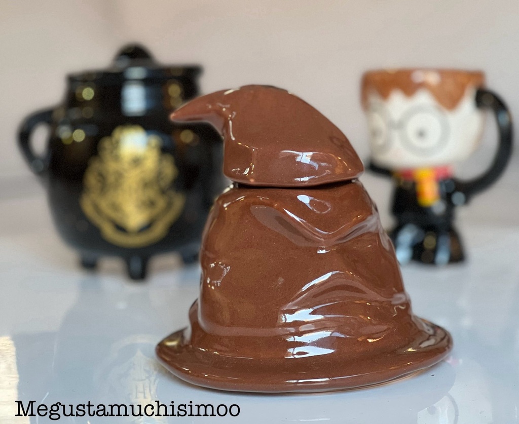 Taza sombrero de Harry potter 3d 03.jpg